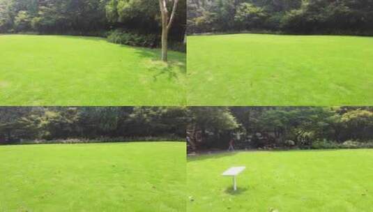 绿色草坪草地高清在线视频素材下载