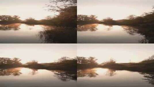 特写夕阳下的森林湖泊高清在线视频素材下载