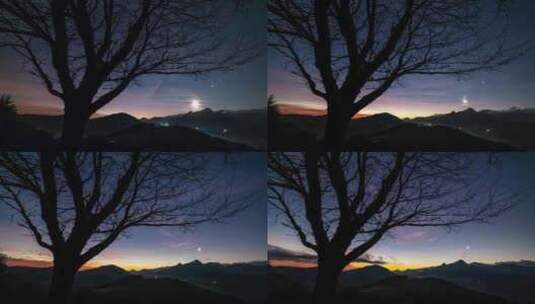 星空山脉景观中的老树剪影高清在线视频素材下载