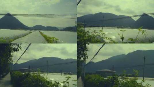 大棚种植农村农田蔬菜乡村振兴大棚现代农业高清在线视频素材下载