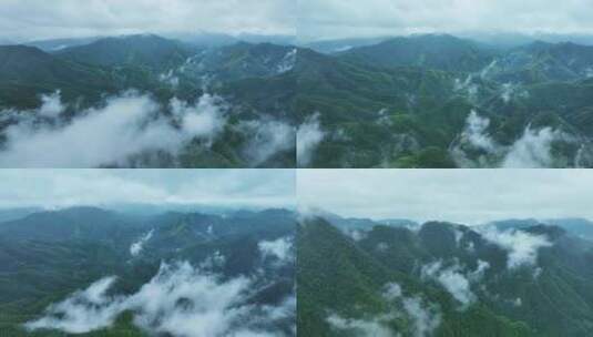 原始森林雨后山峰山脉皖南高清在线视频素材下载