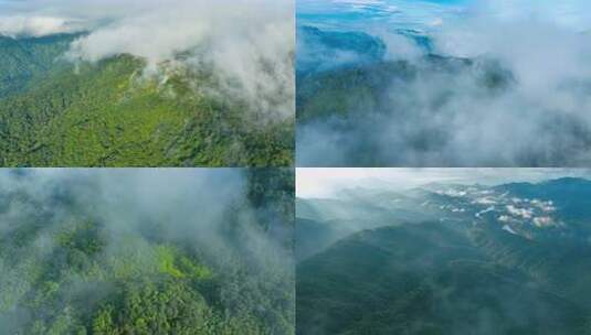 航拍广东南岭山脉大山高山岭南山峰山脊高清在线视频素材下载