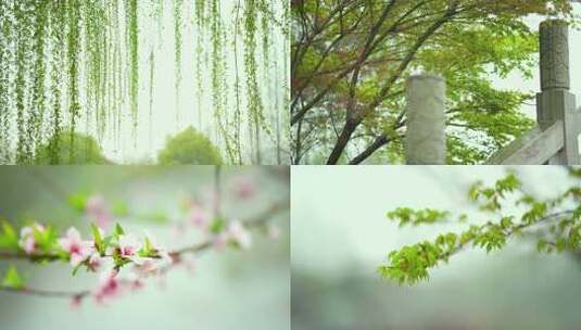 意境雨景，唯美雨景空镜头，湿地公园风景高清在线视频素材下载