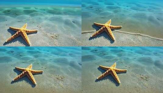 沙滩海岸线上的海星海边旅游自然风光高清在线视频素材下载