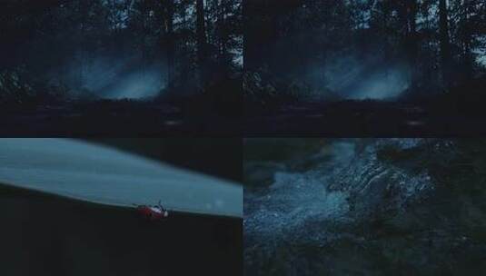 月光下的树林昆虫溪流高清在线视频素材下载