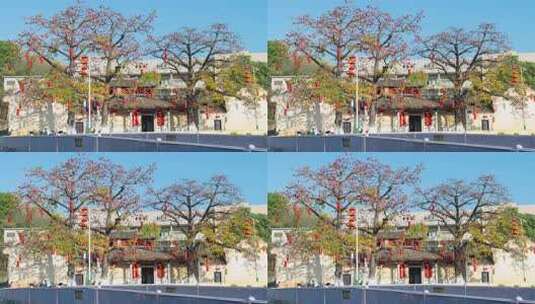 古建筑旁盛开的木棉花高清在线视频素材下载