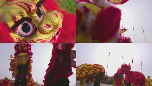传统舞狮表演拍摄高清在线视频素材下载