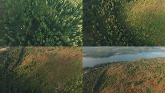 无人机拍摄的森林之间的河流高清在线视频素材下载