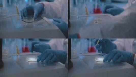 科学家实验室培养器皿高清在线视频素材下载