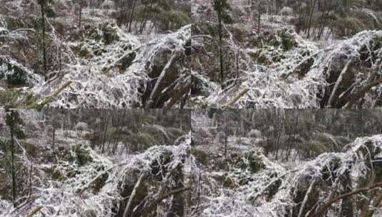 湘南郴州仰天湖高山4K雪景2高清在线视频素材下载