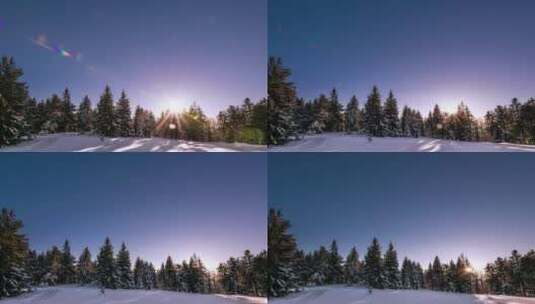 冬日森林天空中的极光高清在线视频素材下载