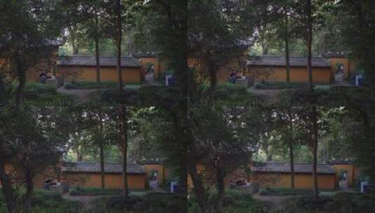 杭州西湖葛岭抱朴道院建筑视频高清在线视频素材下载
