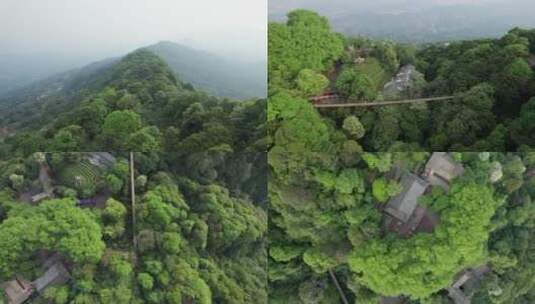 雅安蒙顶山自然风光【5k合集】高清在线视频素材下载