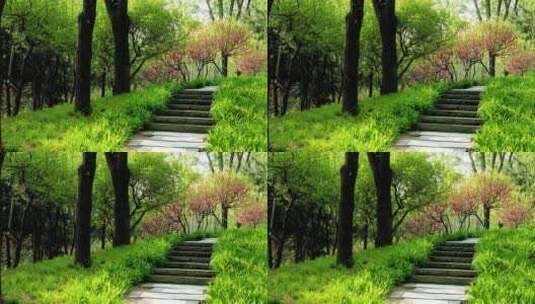 北京城市公园4K拍摄高清在线视频素材下载