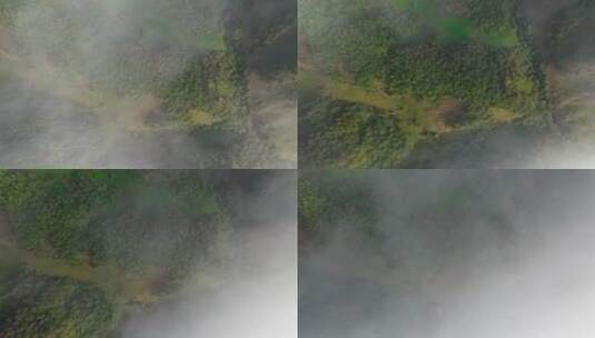 四川大凉山高原山地森林云海雾绿色自然户外高清在线视频素材下载