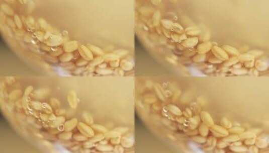 水煮小麦升格镜头高清在线视频素材下载