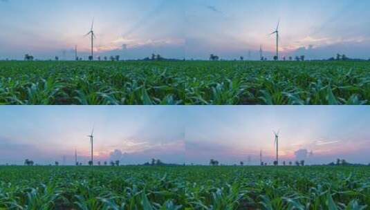 三农玉米地风车新能源发电高清在线视频素材下载