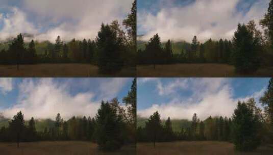 时间流逝的云在森林上空翻滚高清在线视频素材下载