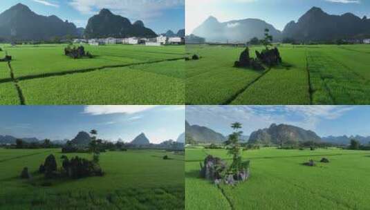 水稻农田航拍高清在线视频素材下载