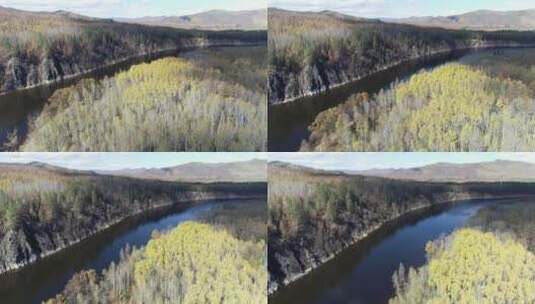 内蒙古大兴安岭森林风光、秋色五彩森林高清在线视频素材下载
