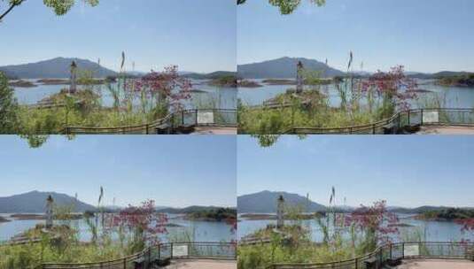 杭州千岛湖自然风景  4k高清在线视频素材下载