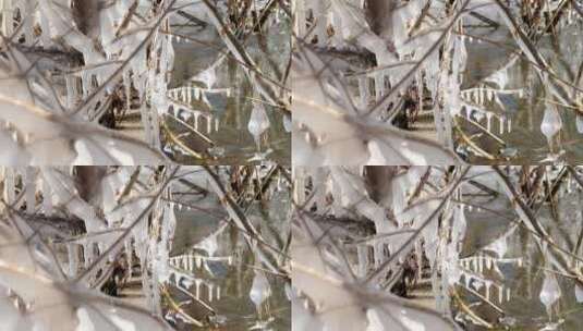 【4K原创】树枝结冰结霜高清在线视频素材下载