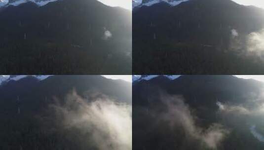 云雾缭绕的高原杉林电网电塔高清在线视频素材下载