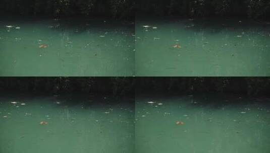 污染后的河流高清在线视频素材下载