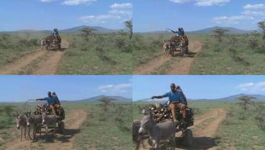 驴车沿着一条土路前进高清在线视频素材下载