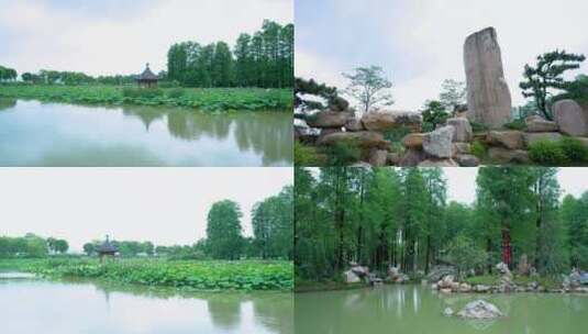 武汉东湖磨山风景区4K视频合集高清在线视频素材下载