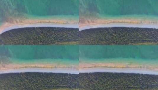 俯拍海岸线沙滩森林高清在线视频素材下载