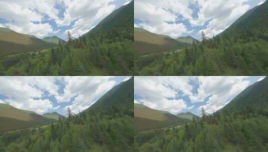 4K穿越机航拍雅拉雪山溪流自然树林高清在线视频素材下载