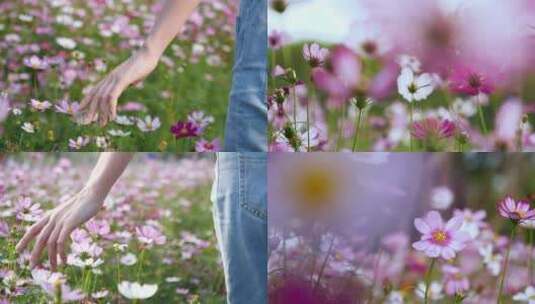 春天女孩手抚摸花朵亲近自然视频素材高清在线视频素材下载
