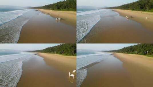 三亚海棠湾海景日出航拍高清在线视频素材下载