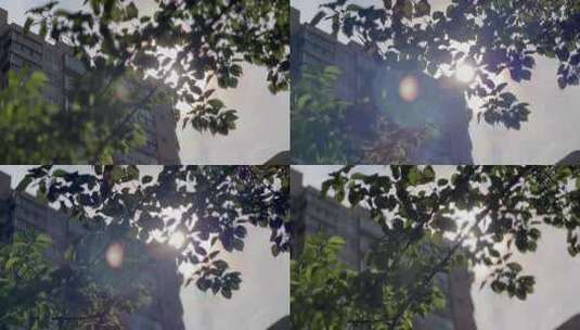 夏天阳光透过树叶照射房屋微风吹拂高清在线视频素材下载