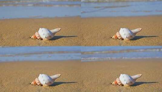 海边旅行时在海滩上捡贝壳和海螺漂流瓶高清在线视频素材下载