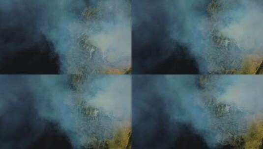 森林火灾航拍高清在线视频素材下载