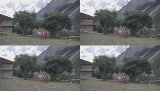 西藏妇女高清在线视频素材下载