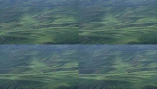 航拍新疆伊犁阿克塔斯草原高清在线视频素材下载