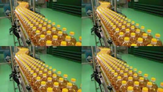 瓶子里的葵花籽油在生产线上移动高清在线视频素材下载