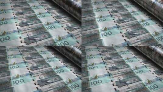 冈比亚达拉西斯钞票印刷无缝循环高清在线视频素材下载