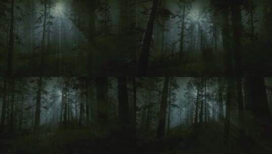 森林中的恐怖场景，黑夜，月光，雾中的恐怖高清在线视频素材下载