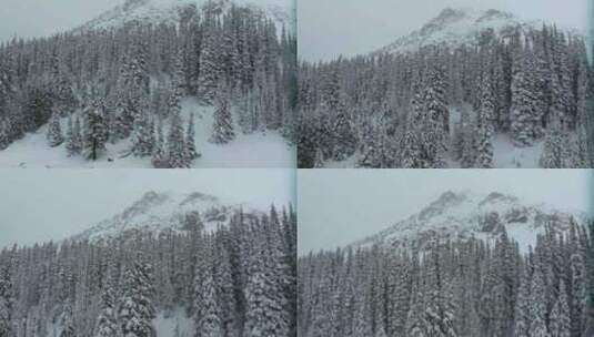 科罗拉多州电影空中深粉雪洛弗兰德滑雪度假高清在线视频素材下载
