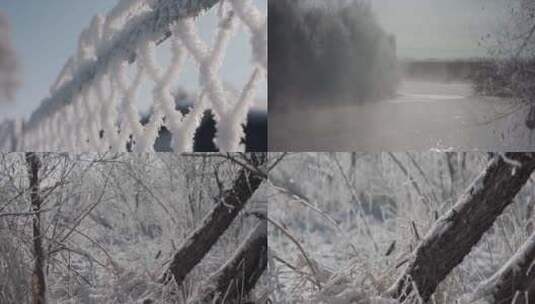 雾凇寒流小雪冬季景观被雪覆盖冷空气降温高清在线视频素材下载