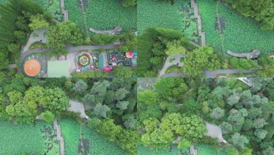 衡阳西湖公园美景航拍高清在线视频素材下载