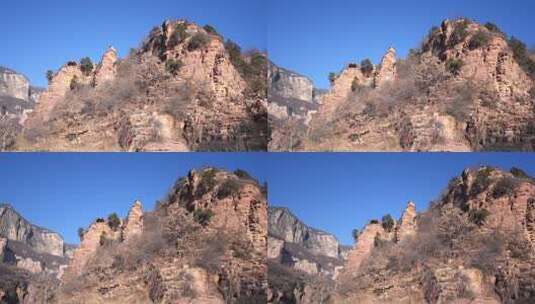 树 岩石上的树 美景 景色 石家庄 嶂石岩高清在线视频素材下载