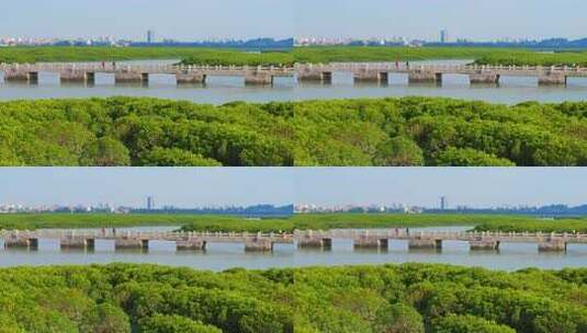 泉州洛阳桥高清在线视频素材下载