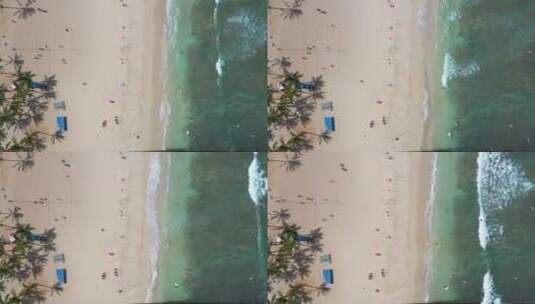 航拍在海滩上玩耍的游客高清在线视频素材下载