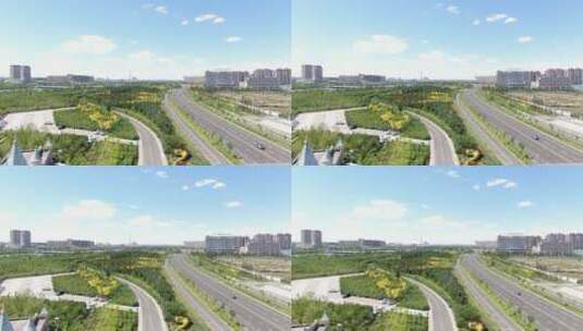 城市绿化大道高清在线视频素材下载