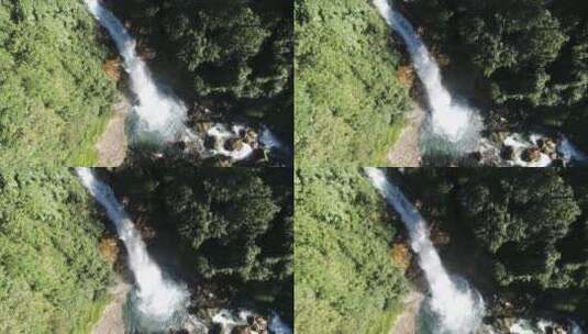 密林中的瀑布高清在线视频素材下载